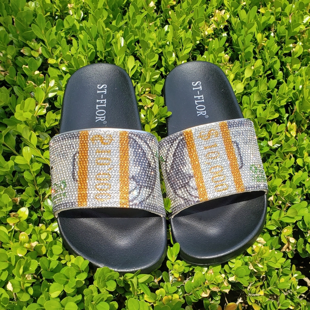 Money Bling Slides